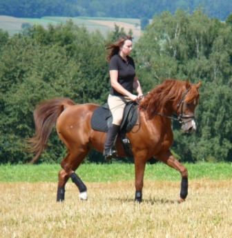 SRF Barolo